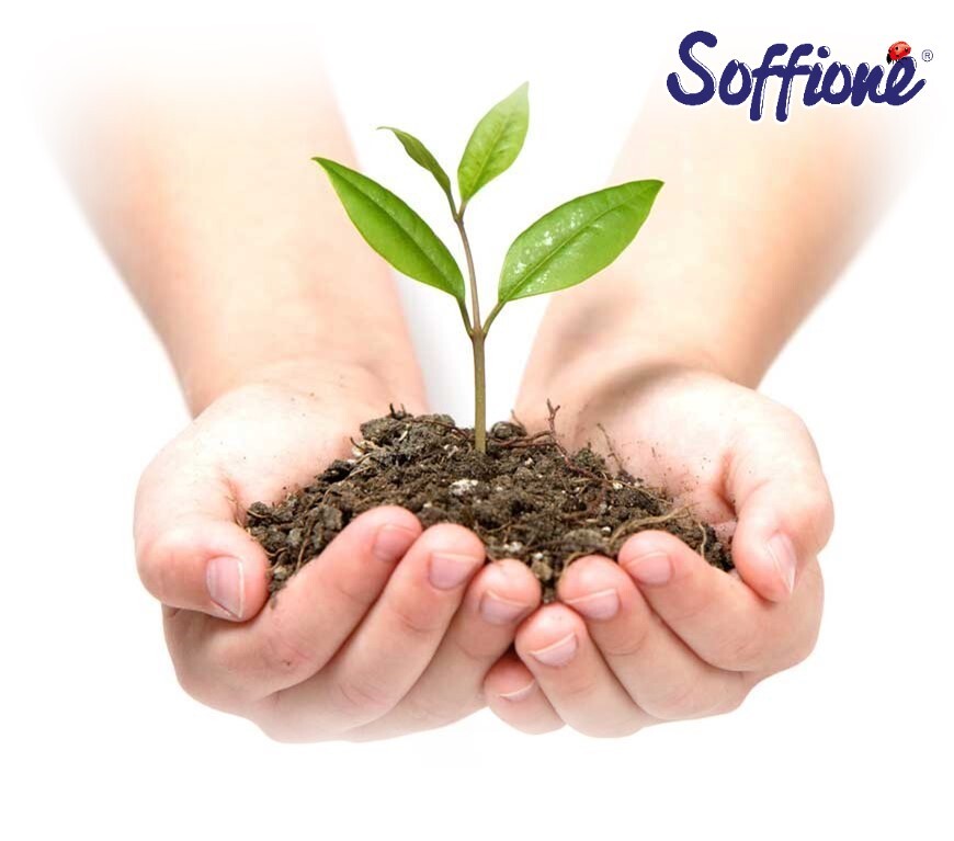 Фото новости