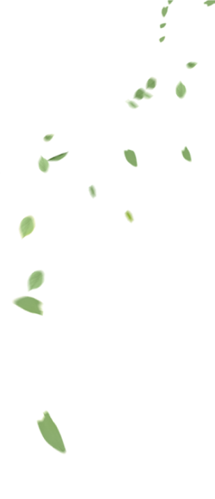 Soffione Premio Fresh Lemongrass